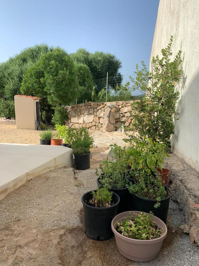 Stazzu Nuraghe Mannucciu Guest House Rena Majore Ngoại thất bức ảnh