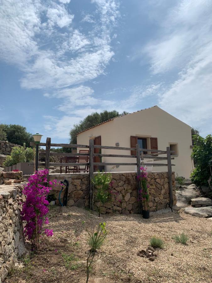 Stazzu Nuraghe Mannucciu Guest House Rena Majore Ngoại thất bức ảnh
